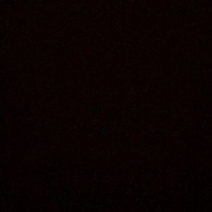 Meet your Posher, Trey-anthony